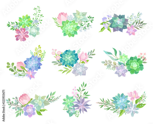 Succulent Echeveria Floral Arrangements Vector Set. Natural Cactus Bouquets Collection