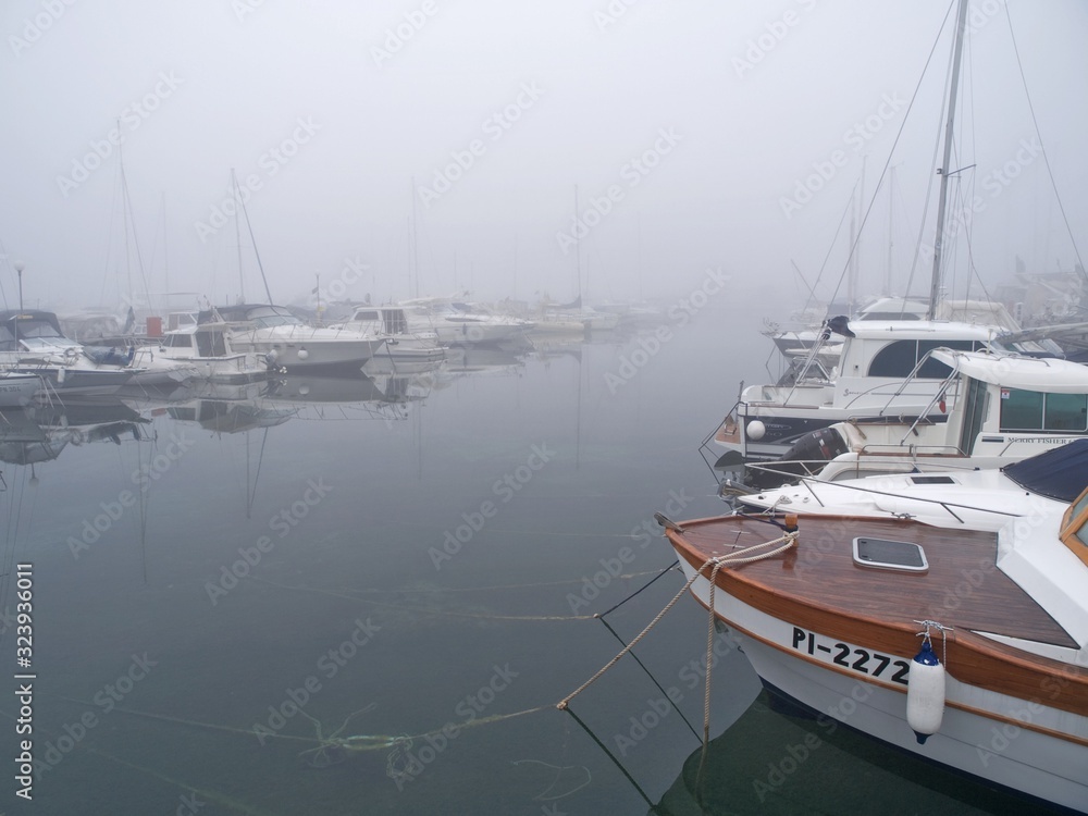 Fototapeta premium coast