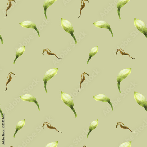 Hippeastrum buds green seamless pattern