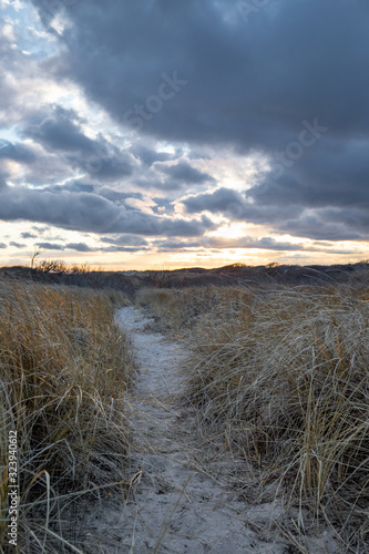 Fototapeta Naklejka Na Ścianę i Meble -  Beach Sand Path leading through bushes into horizon line