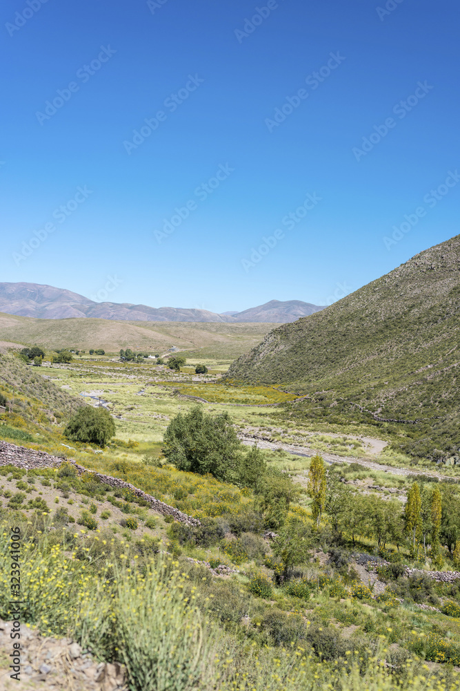 Naklejka premium Condor, Quebrada de Humahuaca, Jujuy, Argentina