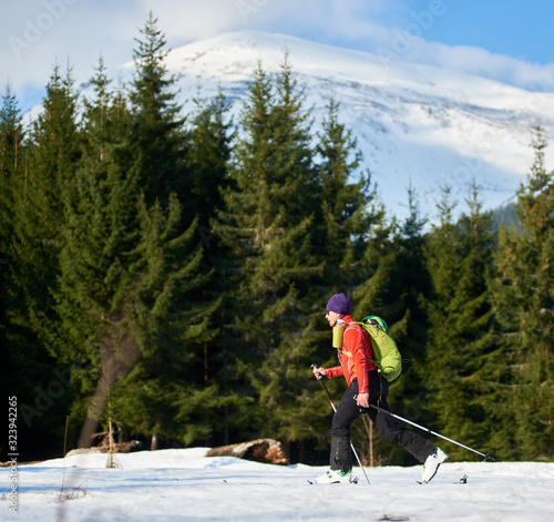 Man skiing with a backpack on a background of forest and snow-capped mountains at sunny day. Ski season and winter sports concept