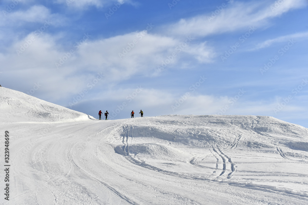 On the hill with snowshoes, to admire the view