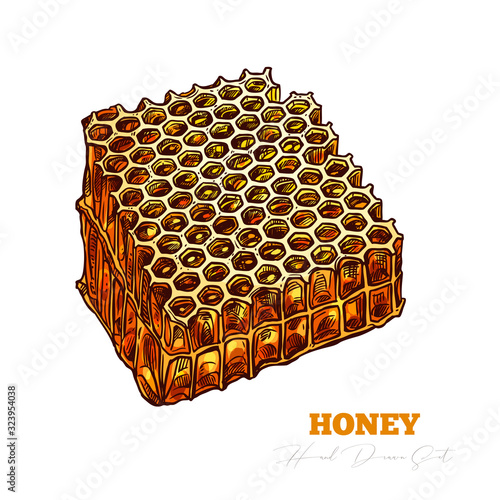 Hand drawn color honeycomb isolated on white. Engraving illustration for honey and mead farm. Vector sketch for beekeeping and apiculture. Bee product