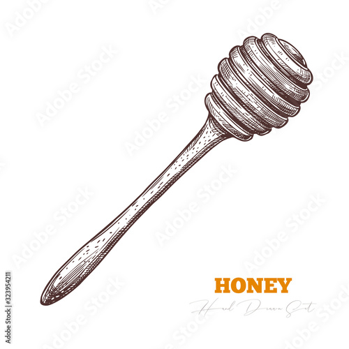 Hand drawn honey dipper. Sketch vector wooden mead wand. Engraving illustration for beekeeping and apiculture design. Bee product