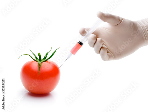 Injektion einer Flüssigkeit in eine Tomate