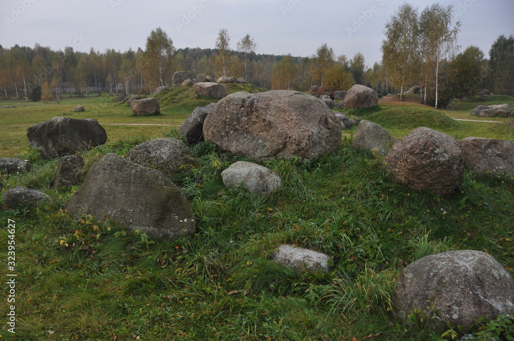 stones in grass