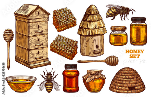 Hand drawn vector honey set. Collection of sketch illustrations for beekeeping, apiculture and mead company and business: bees, wooden and straw hives, honey spoon, honeycomb, jars and pot
