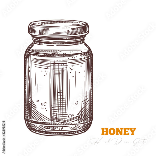 Hand drawn glass jar full of honey isolated on white. Vector sketch for beekeeping and apiculture farm. Engraving vintage illustration. Bee product