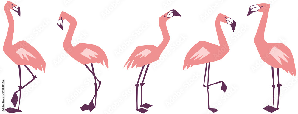 Pink flamingos illustration isolated on white background. Exotic tropical bird. Print for apparel, nursery, cards, posters, t-shirts Pink flamingos illustration isolated on white background. Exotic tropical bird. Print for apparel, nursery, cards, posters, t-shirts