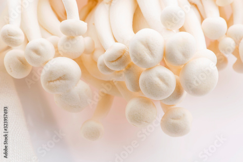White beech mushrooms, Shimeji mushroom