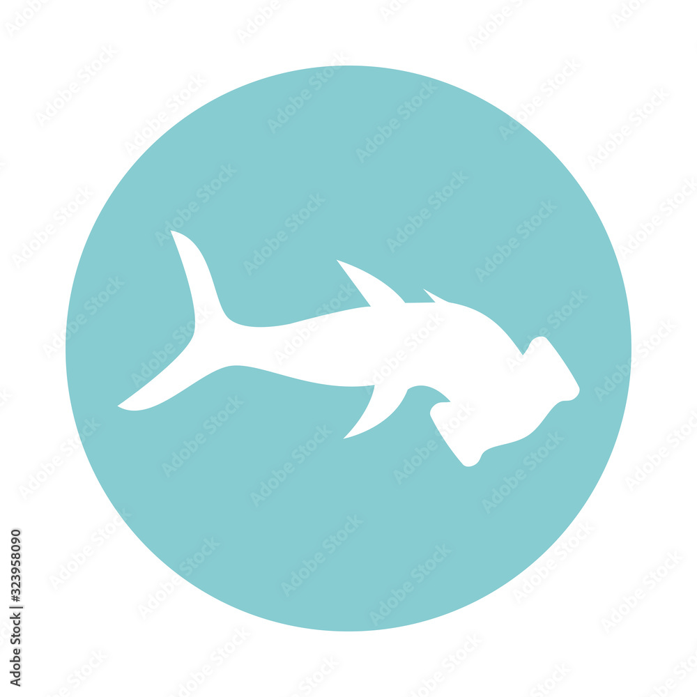 Isolated hammerhead shark block style icon vector design - obrazy, fototapety, plakaty 