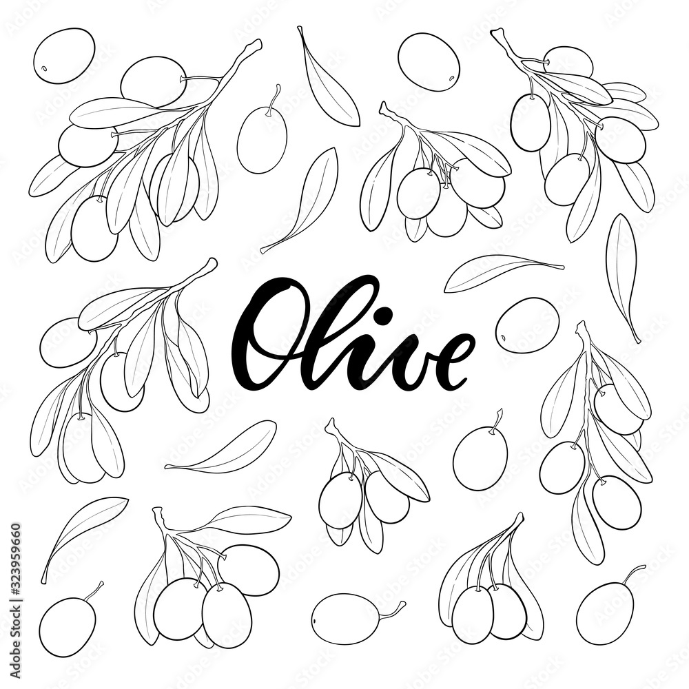 Set of black and white outline Olive branch with leaves and olives isolated on background. design for restaurant, cafe, menu, organic cosmetic with olive oil. Packaging decor, logo, illustration. Set of black and white outline Olive branch with leaves and olives isolated on background. design for restaurant, cafe, menu, organic cosmetic with olive oil. Packaging decor, logo, illustration.