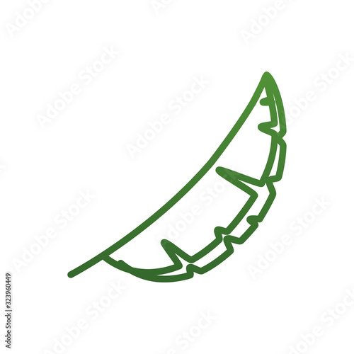 Isolated natural leaf gradient style icon vector design