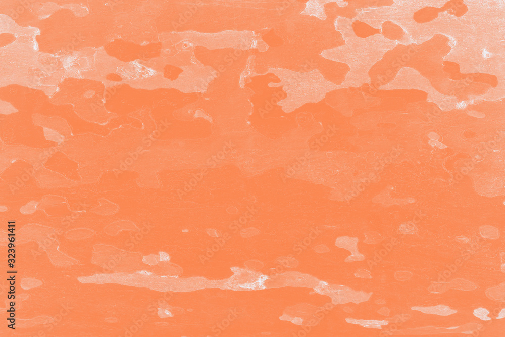 Fototapeta premium Platanus or sycamores bark tree background. Abstract texture background, orange toned