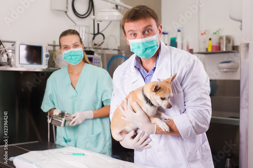 Fototapeta Naklejka Na Ścianę i Meble -  Dog on the operating table in a veterinary clinic