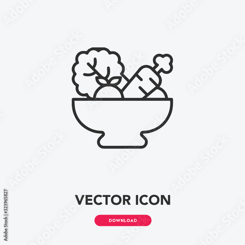salad icon vector. salad icon vector symbol illustration. Modern simple vector icon for your design. salad icon vector	