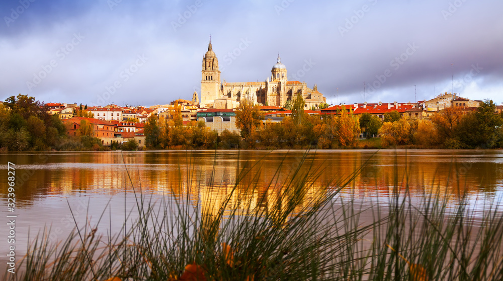 Salamanca Cathedral from  River  in autumn