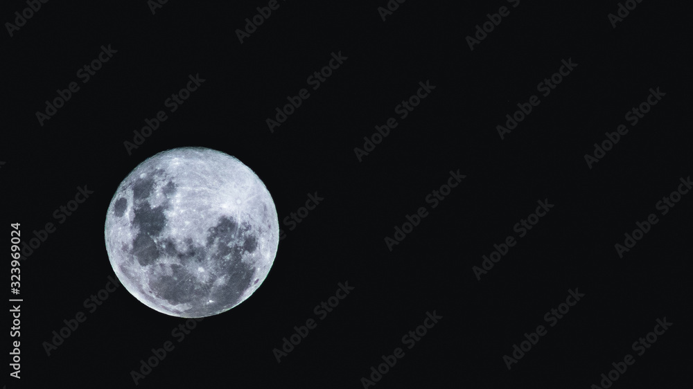 Fototapeta premium moon in the dark