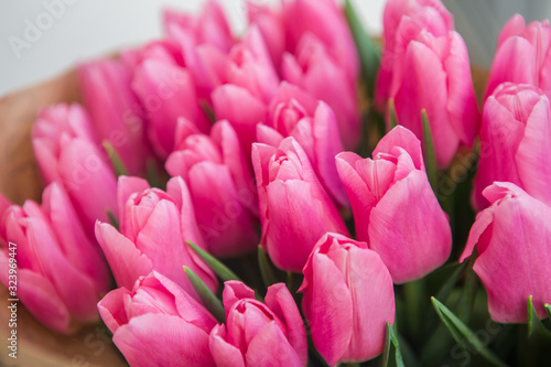 Pink tulips in pastel coral tints on white background, closeup. © Chernysheva