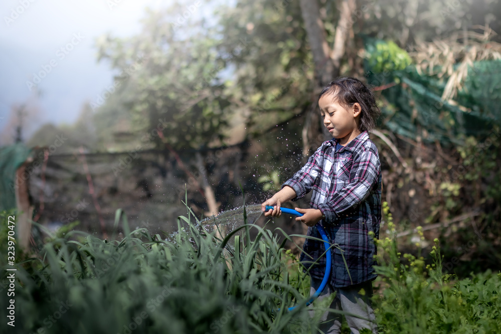 Cute little girl watering vegetables in the garden. Cute little girl watering vegetables in the garden.