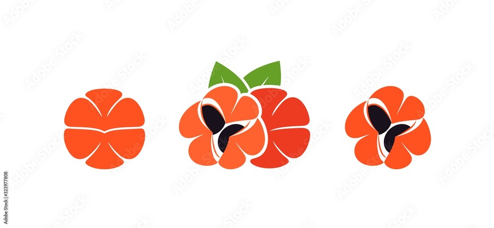 Guarana logo. Isolated guarana on white background