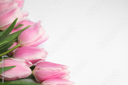 Fototapeta Naklejka Na Ścianę i Meble -  Beautiful pink spring tulips on white background, closeup