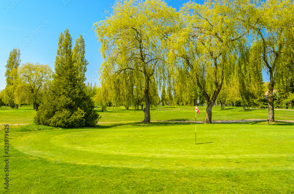 Naklejka premium Golf course with gorgeous green.