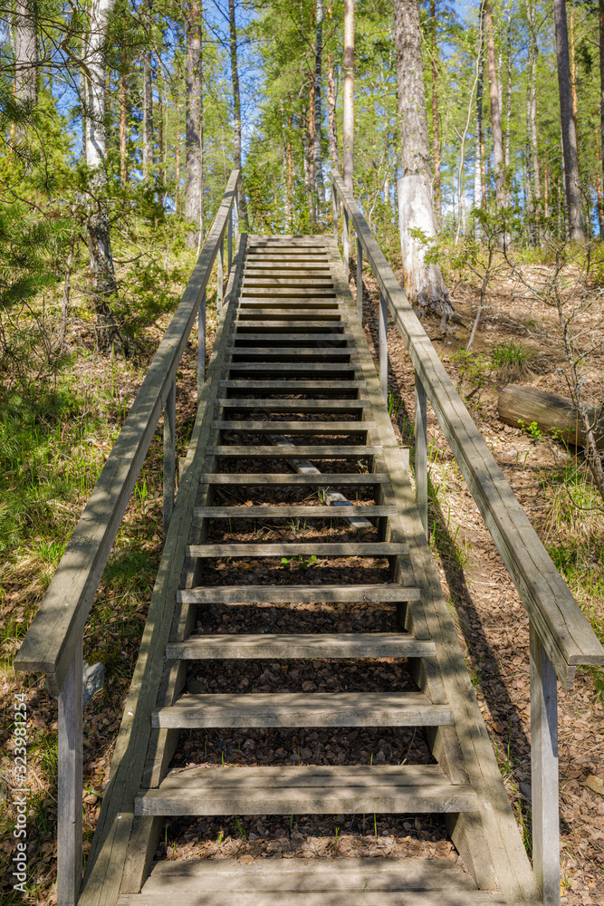 Wooden stairs in forest at summer day in Finland Wooden stairs in forest at summer day in Finland