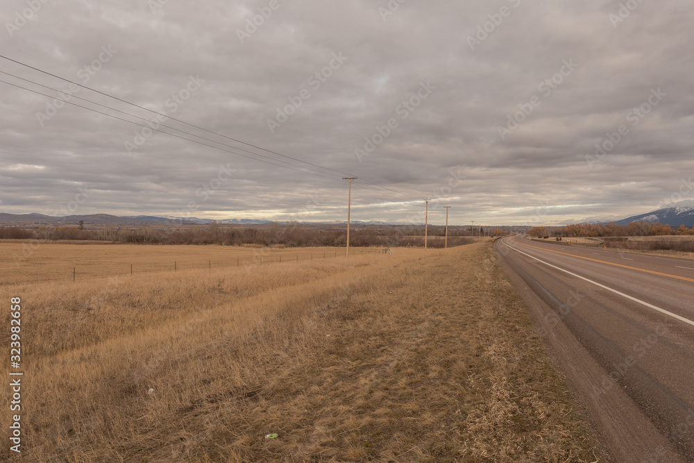 Empty roadway alongside grass pasture with telephone poles