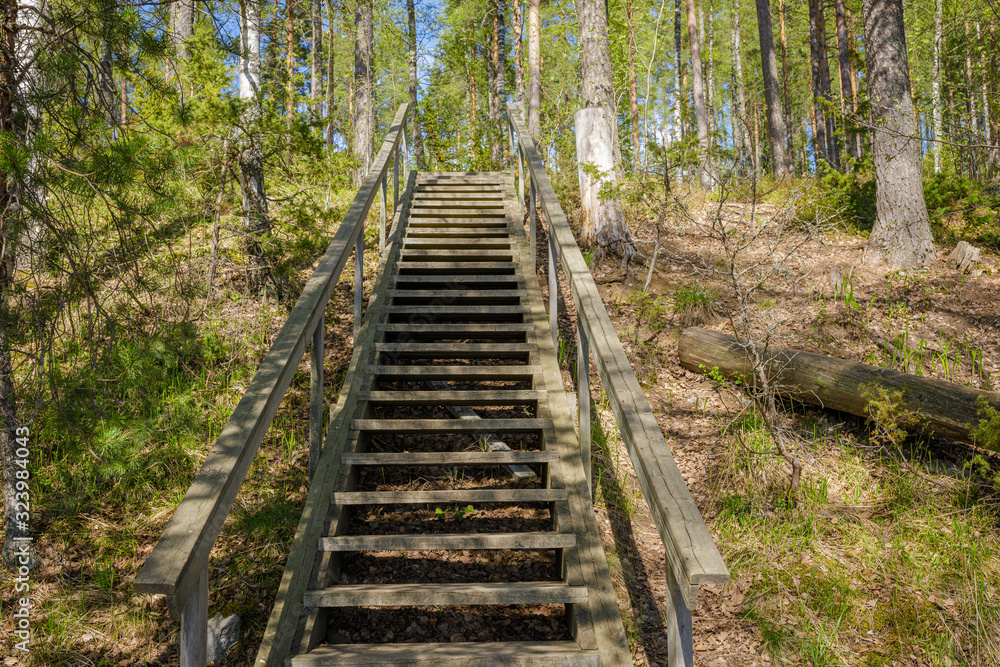 Wooden stairs in forest at summer day in Finland Wooden stairs in forest at summer day in Finland