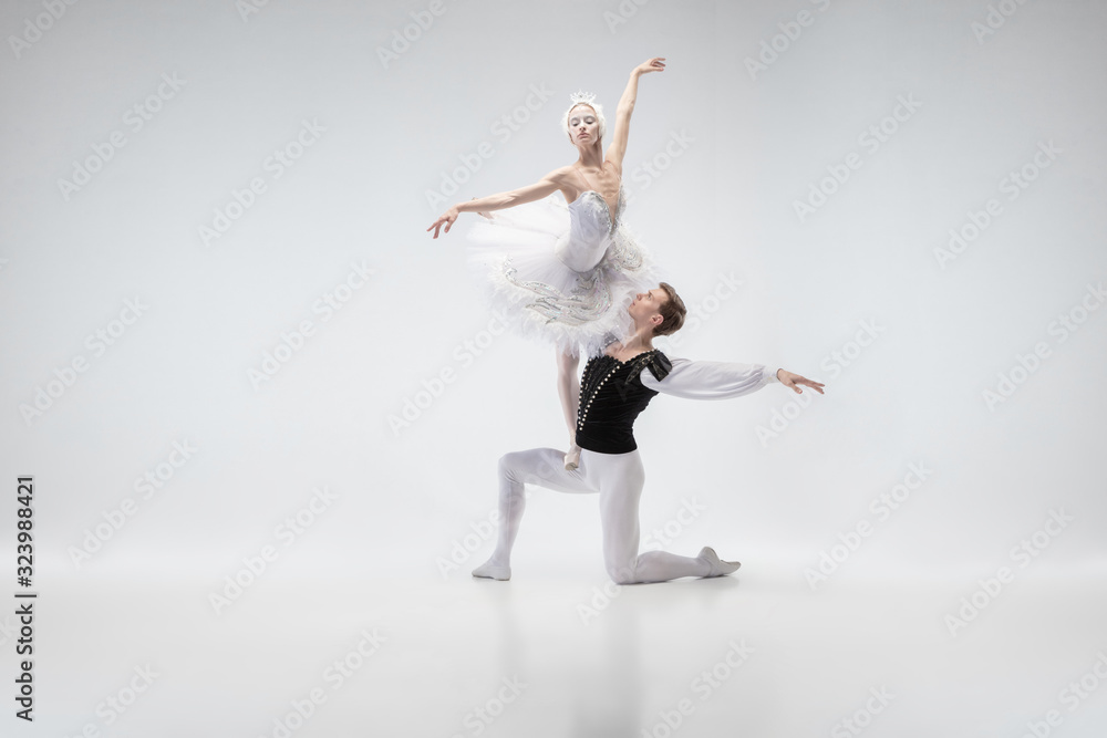Fototapeta premium The moon. Graceful classic ballet dancers dancing isolated on white studio background. Couple in tender white clothes like a white swan characters. The grace, artist, movement, action and motion