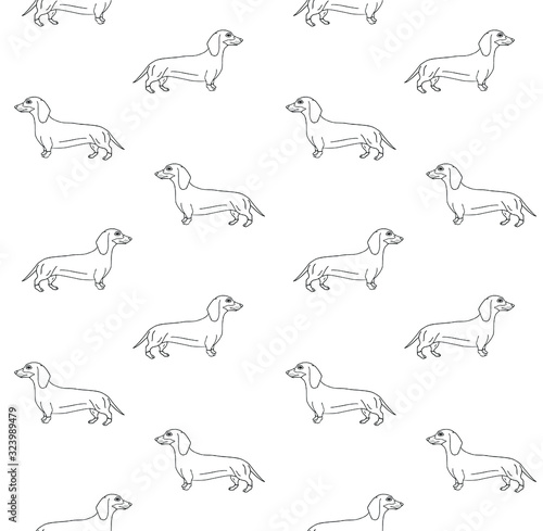 Vector seamless pattern of hand drawn doodle sketch dachshund dog isolated on white background