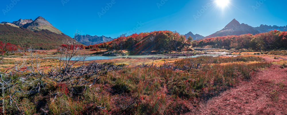 Panoramic view over magical austral forest, peatbogs and high mountains in Tierra del Fuego National Park, Patagonia, Argentina, golden Autumn