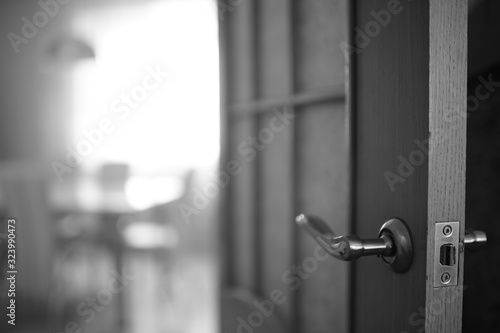 Door end with chrome handle in the room. BW photo