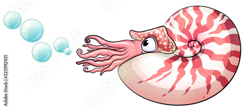 Niedliche Nautilus- Vektor-Illustration