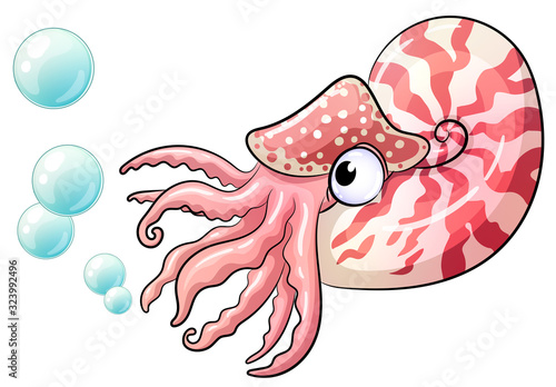 Niedliche Nautilus- Vektor-Illustration