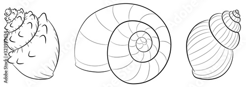 Niedliche Schneckenhäuser - Vektor-Illustration