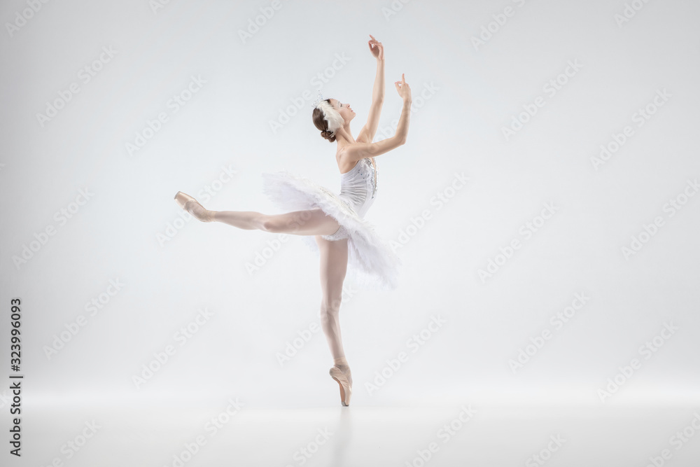 Fototapeta premium Graceful classic ballerina dancing isolated on white studio background. Woman in tender clothes like a white swan characters. The grace, artist, movement, action and motion concept. Looks weightless.