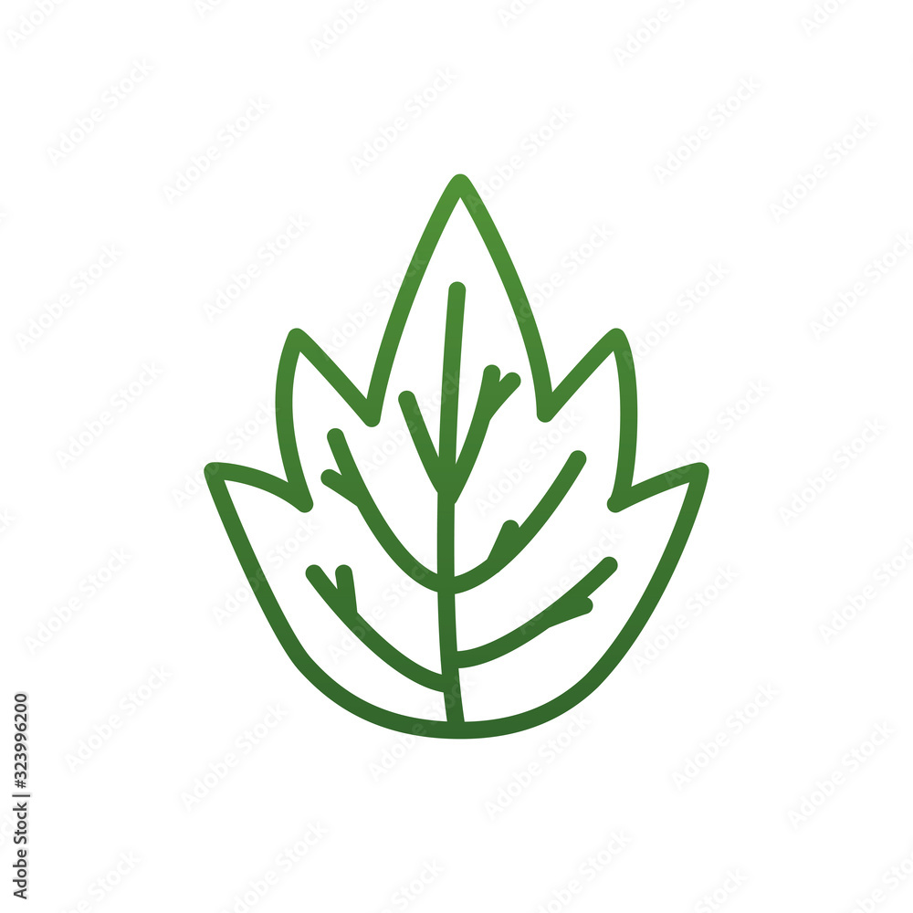 Isolated natural leaf gradient style icon vector design Isolated natural leaf gradient style icon vector design