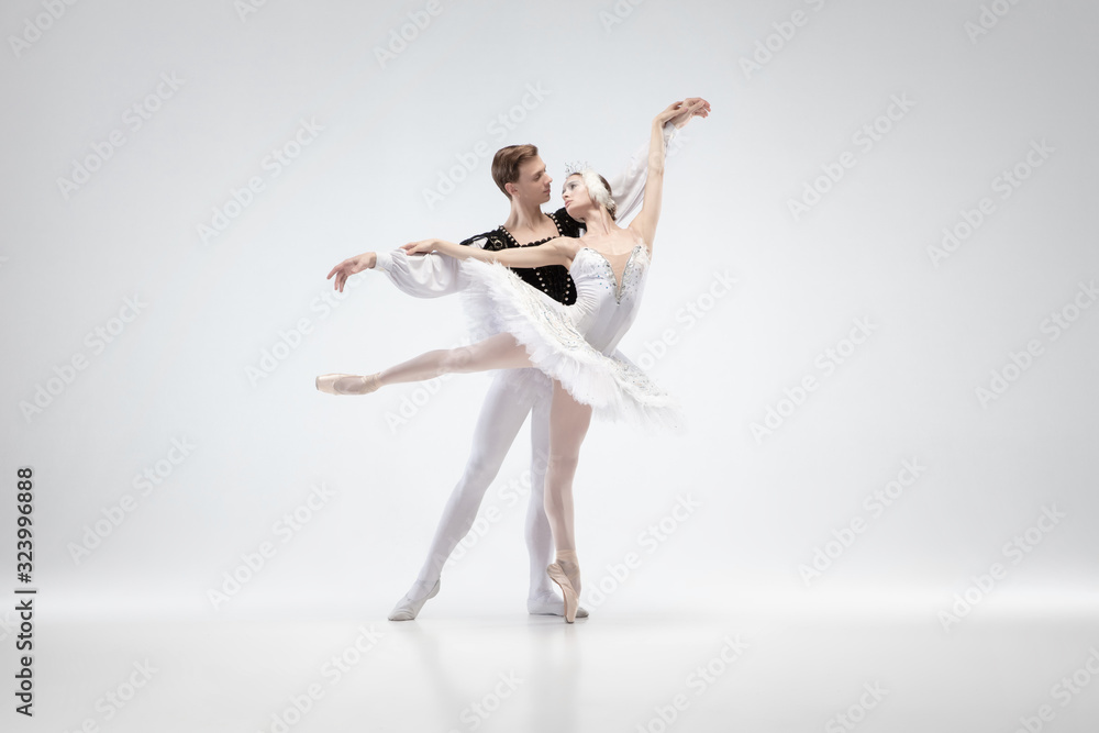 Love. Graceful classic ballet dancers dancing isolated on white studio background. Couple in tender white clothes like a white swan characters. The grace, artist, movement, action and motion concept. - obrazy, fototapety, plakaty 