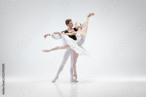 Fototapeta Naklejka Na Ścianę i Meble -  Love. Graceful classic ballet dancers dancing isolated on white studio background. Couple in tender white clothes like a white swan characters. The grace, artist, movement, action and motion concept.