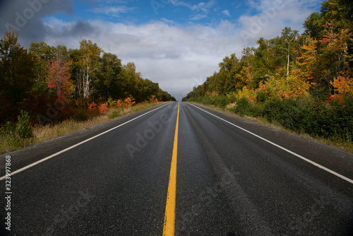 A two lane road of dark wet black asphalt with a single yellow line down the middle. There are colorful trees on both sides. There's a blue sky with white fluffy clouds in the background