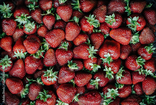 A large box of ripe and beautiful strawberries. Berries. photo