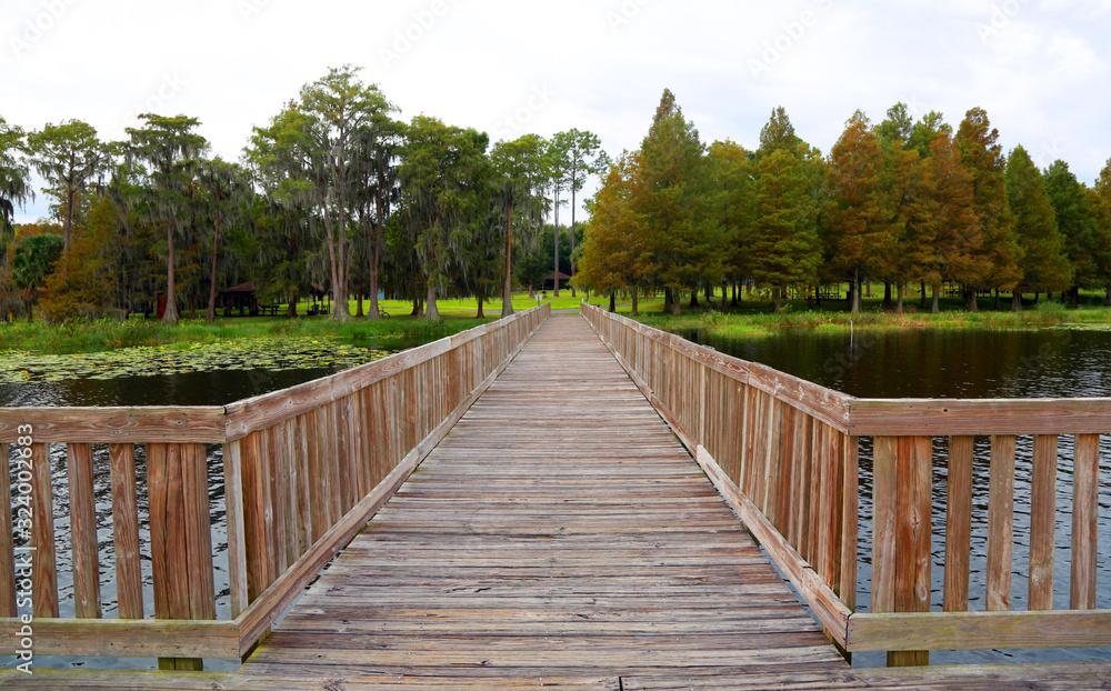 wooden bridge in the park