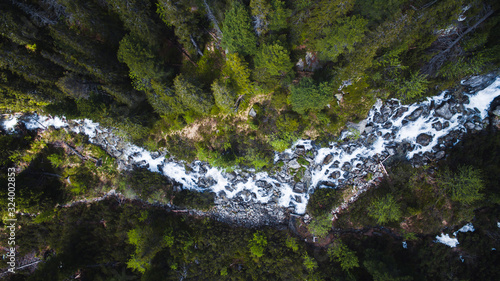 Canvas Print Aerial top down shot of flowing stream river surrounded by high trees in forest,