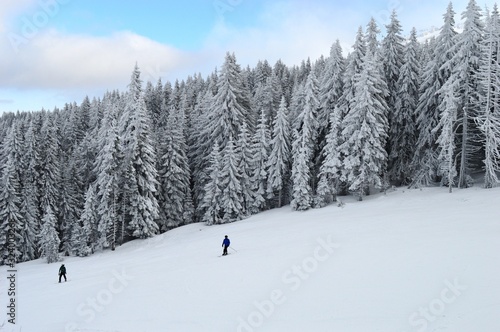 Skier on a mountain trail