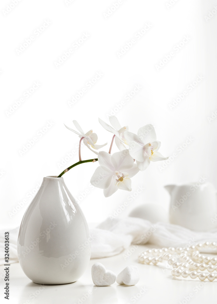White still life. White still life.