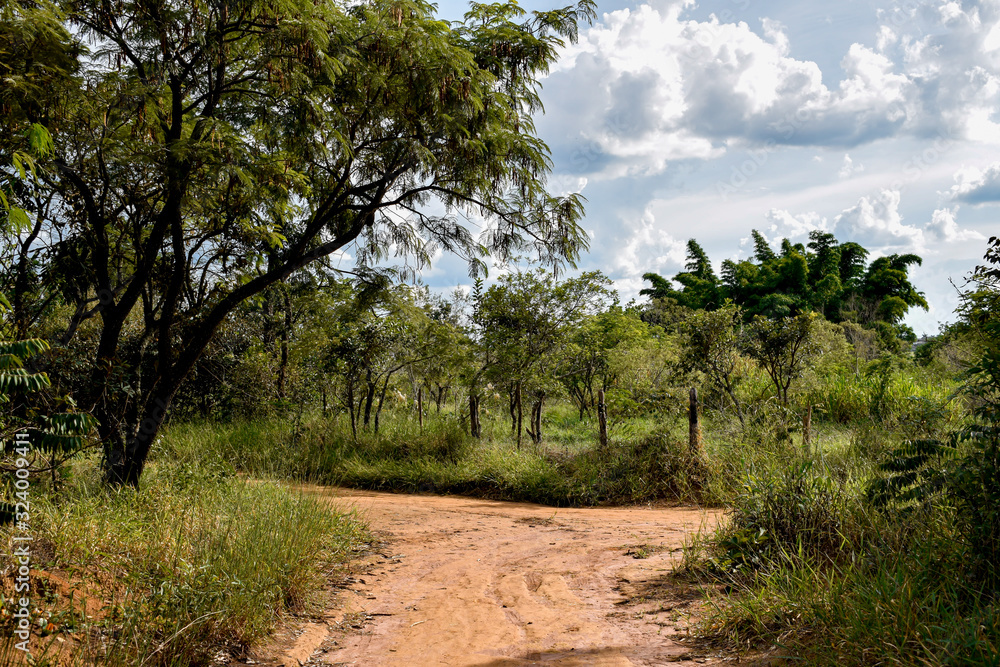 Estrada de terra em bioma de cerrado