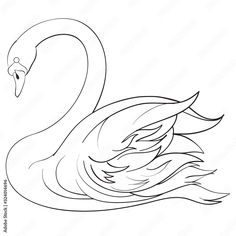 Naklejka premium decorative swan swims in the water, bowing its head low, outline drawing, isolated object on a white background,